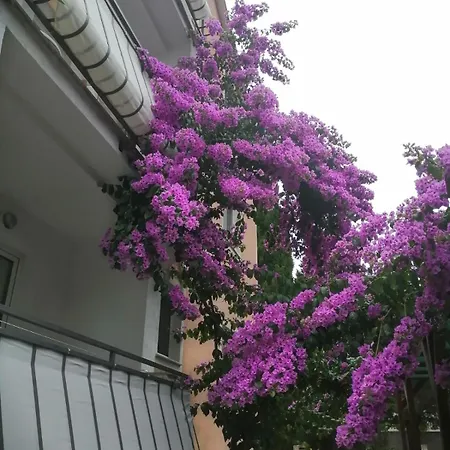 Apartment Jelena *
